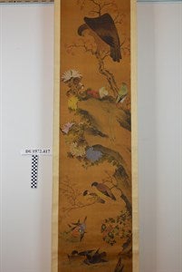 Image description is not available for DU1972.417